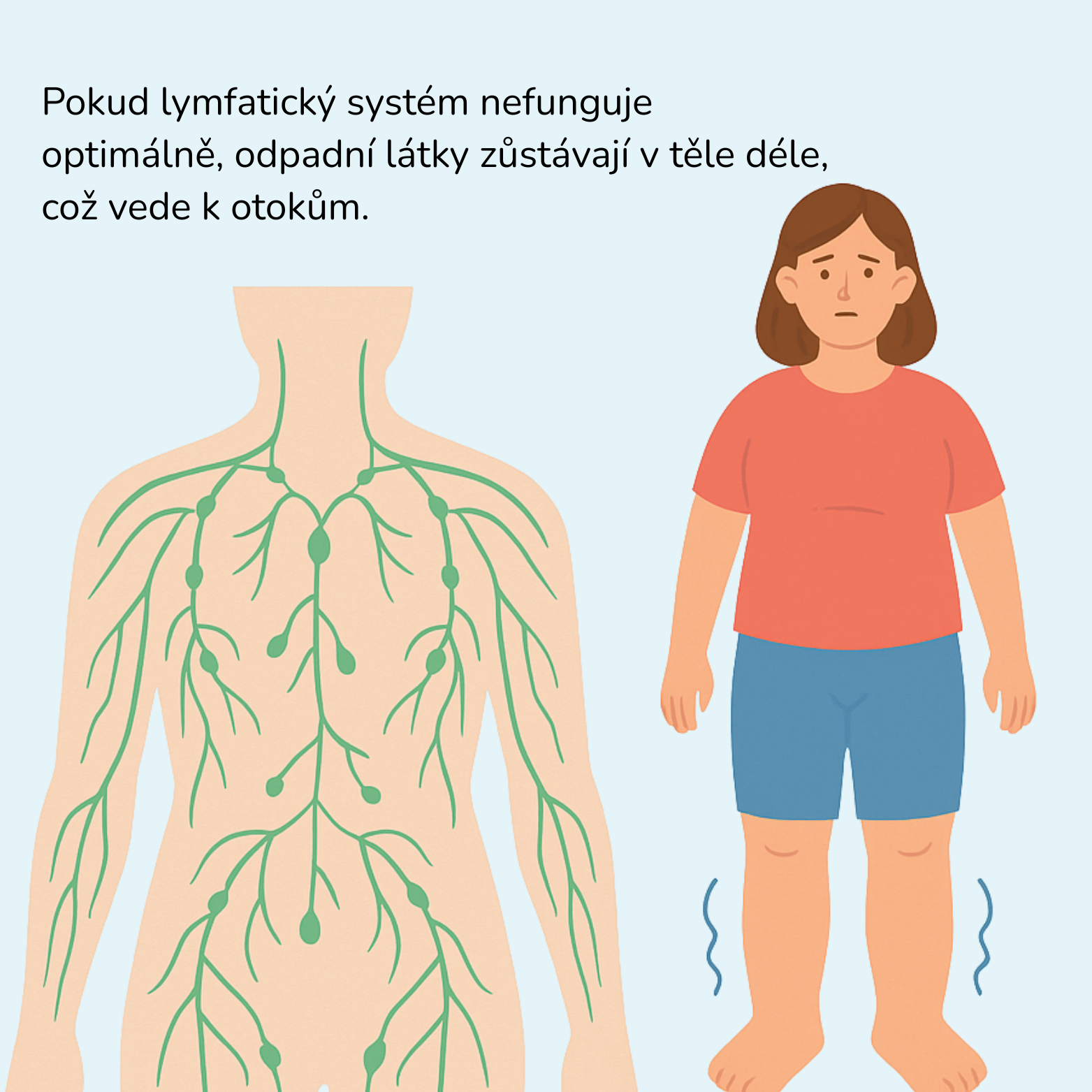 Pokud lymfatický systém nefunguje optimálně, odpadní látky zůstávají v těle déle, což vede k otokům